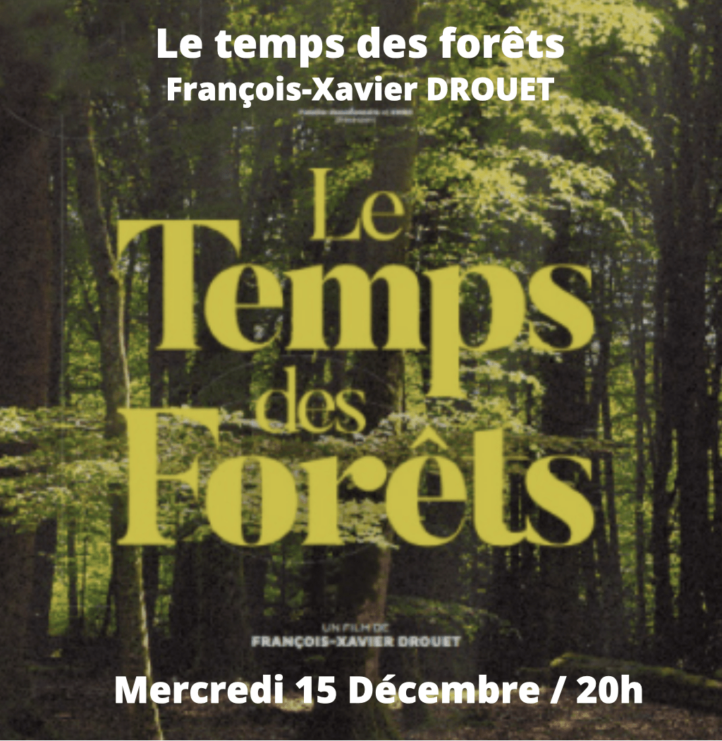 forêt