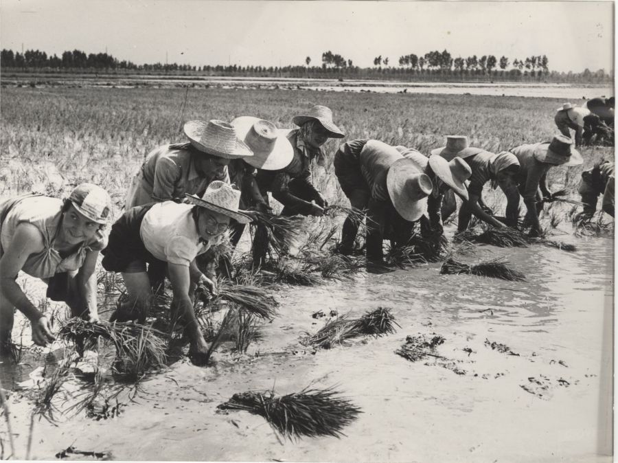 Canti di guerra, di lavoro e d’amore